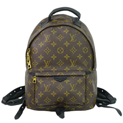 Louis Vuitton Palm Springs Backpack Monogram Canvas