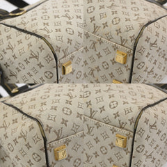 Louis Vuitton Josephine Handbag Mini Lin