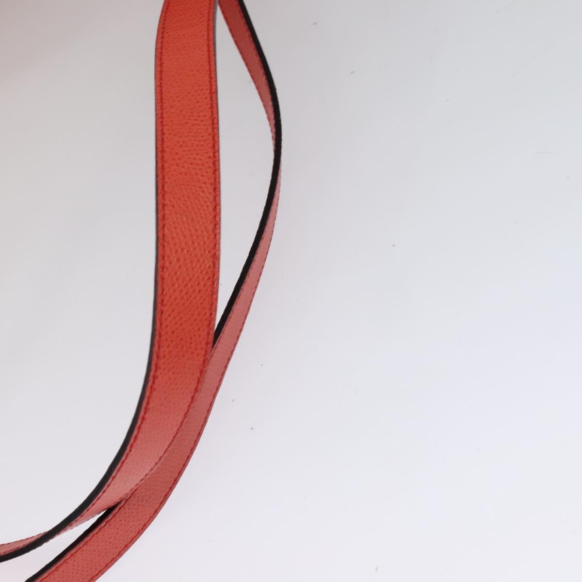 Celine Backpack Leather