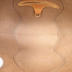 Louis Vuitton Ellipse Bag Monogram Canvas