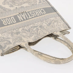 Christian Dior Book Tote Embroidered Canvas