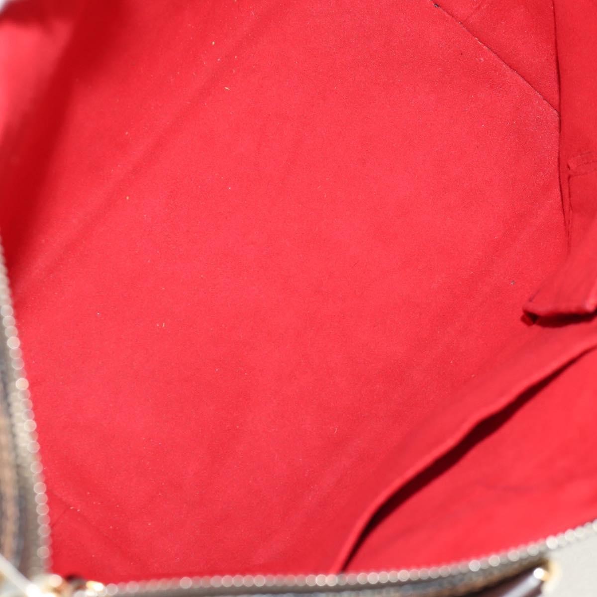 Louis Vuitton Saleya Handbag Damier