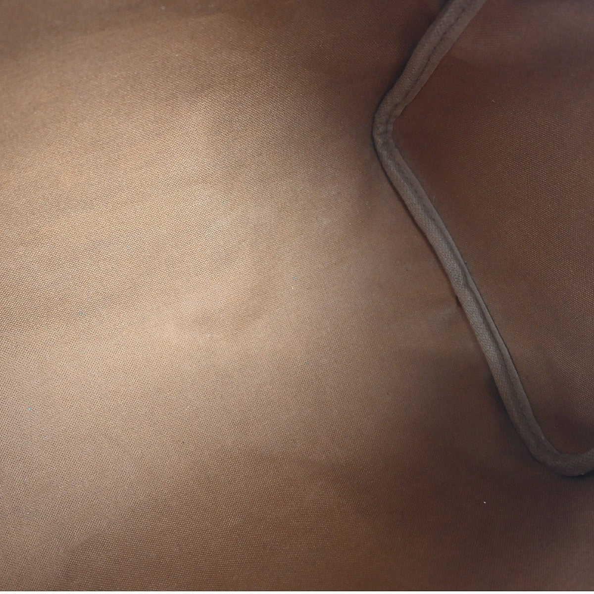 Louis Vuitton Speedy Handbag Monogram Canvas