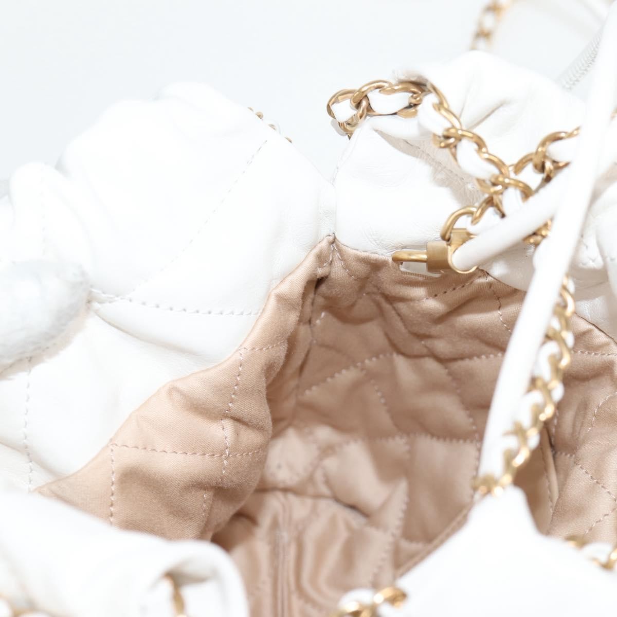 Chanel 22 Chain Hobo Quilted lambskin