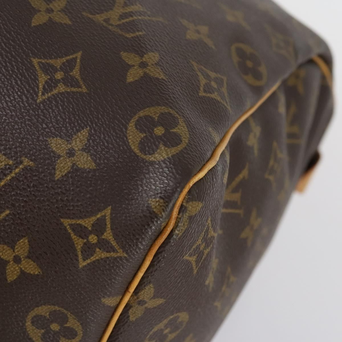 Louis Vuitton Keepall Bag Monogram Canvas