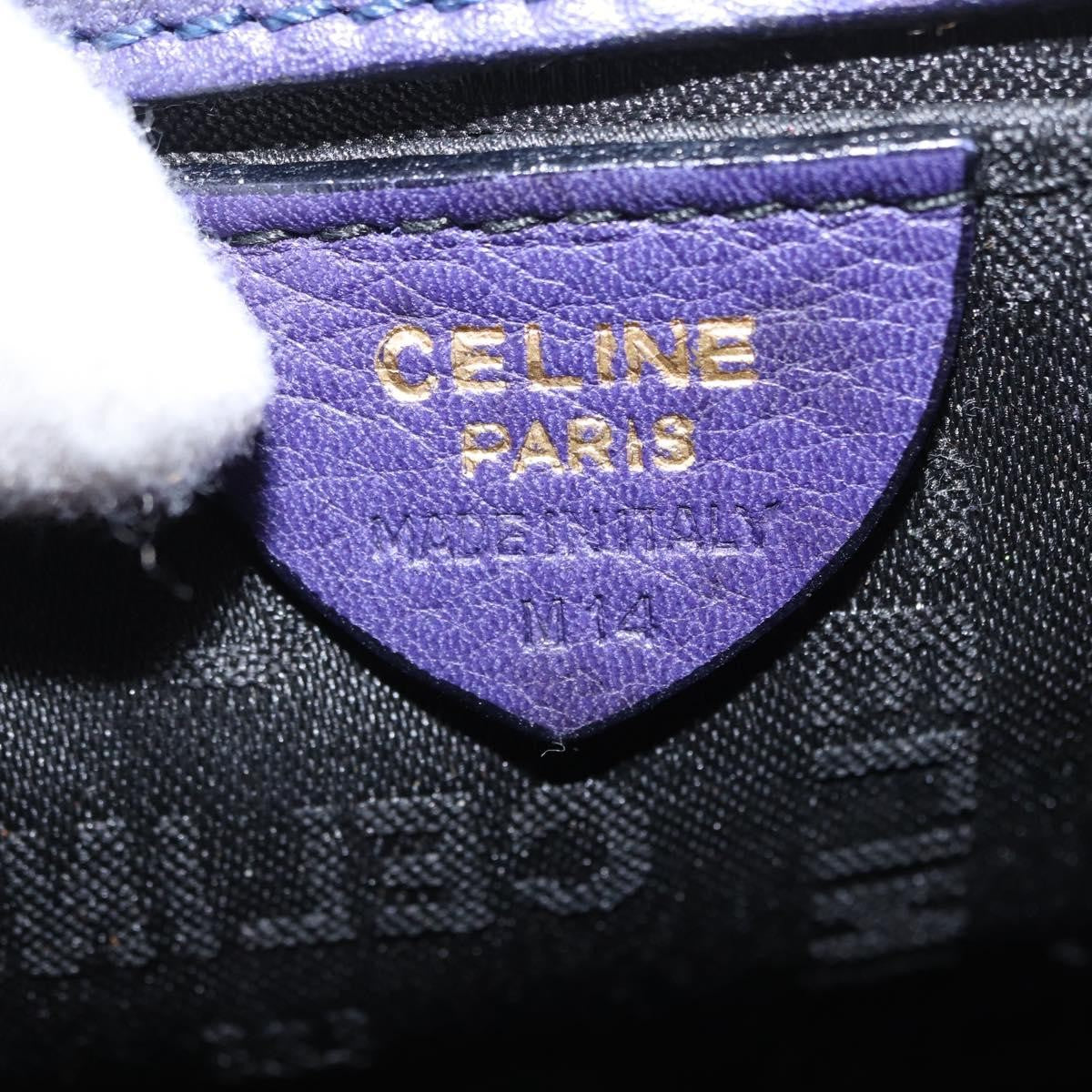 Celine Handbag Suede
