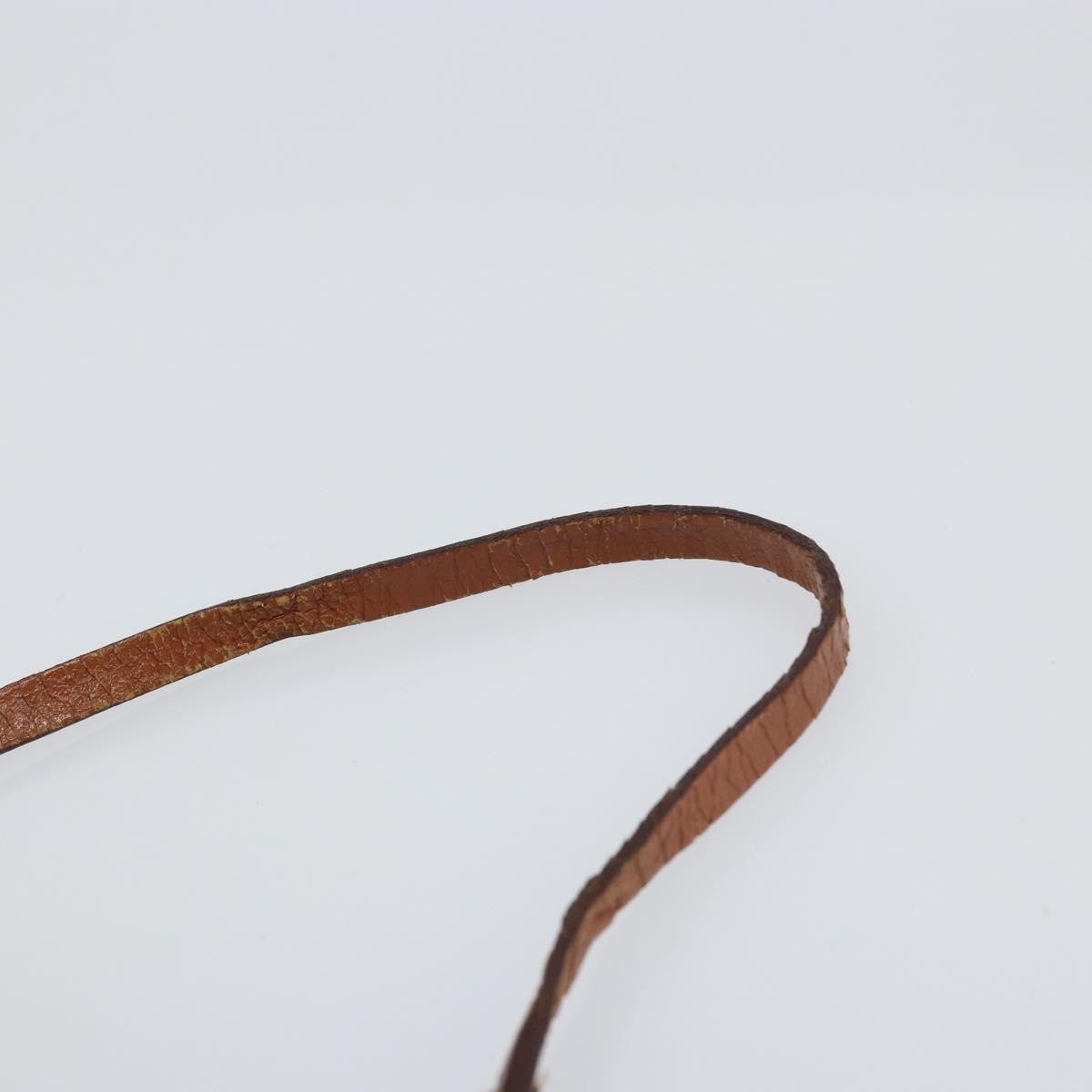 Louis Vuitton Papillon Pochette Monogram Canvas