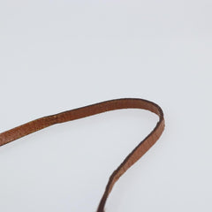 Louis Vuitton Papillon Pochette Monogram Canvas