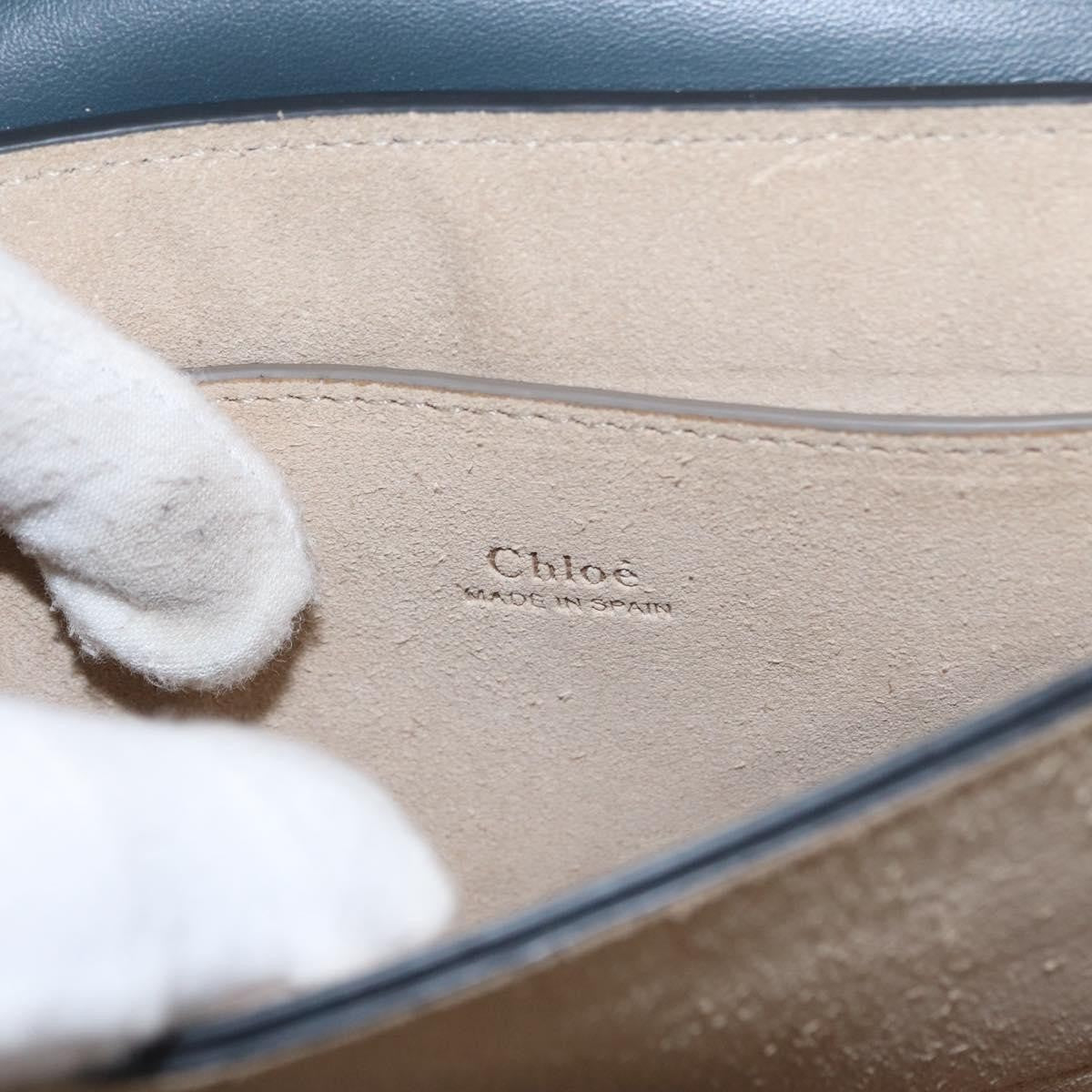 Chloe Faye Shoulder Bag Leather and Suede