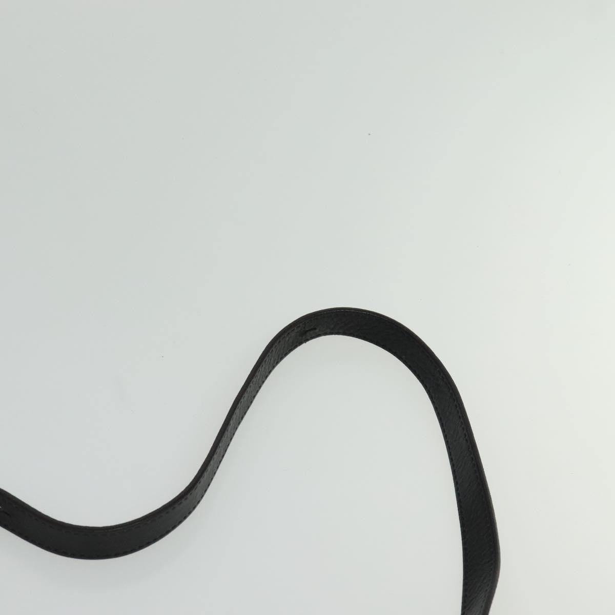 Chloe Hailey Bag Leather