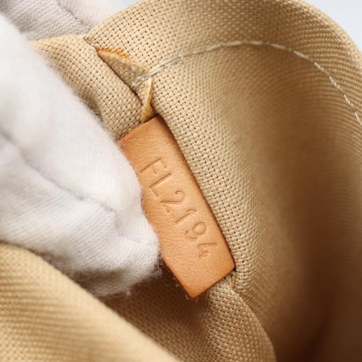 Louis Vuitton Riviera Handbag Damier