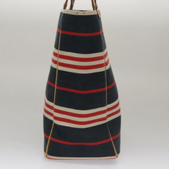 Burberry Blue Label Handbag Canvas