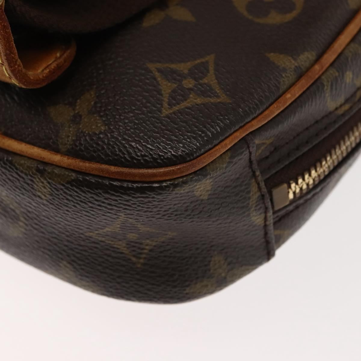Louis Vuitton Pochette Gange Monogram Canvas