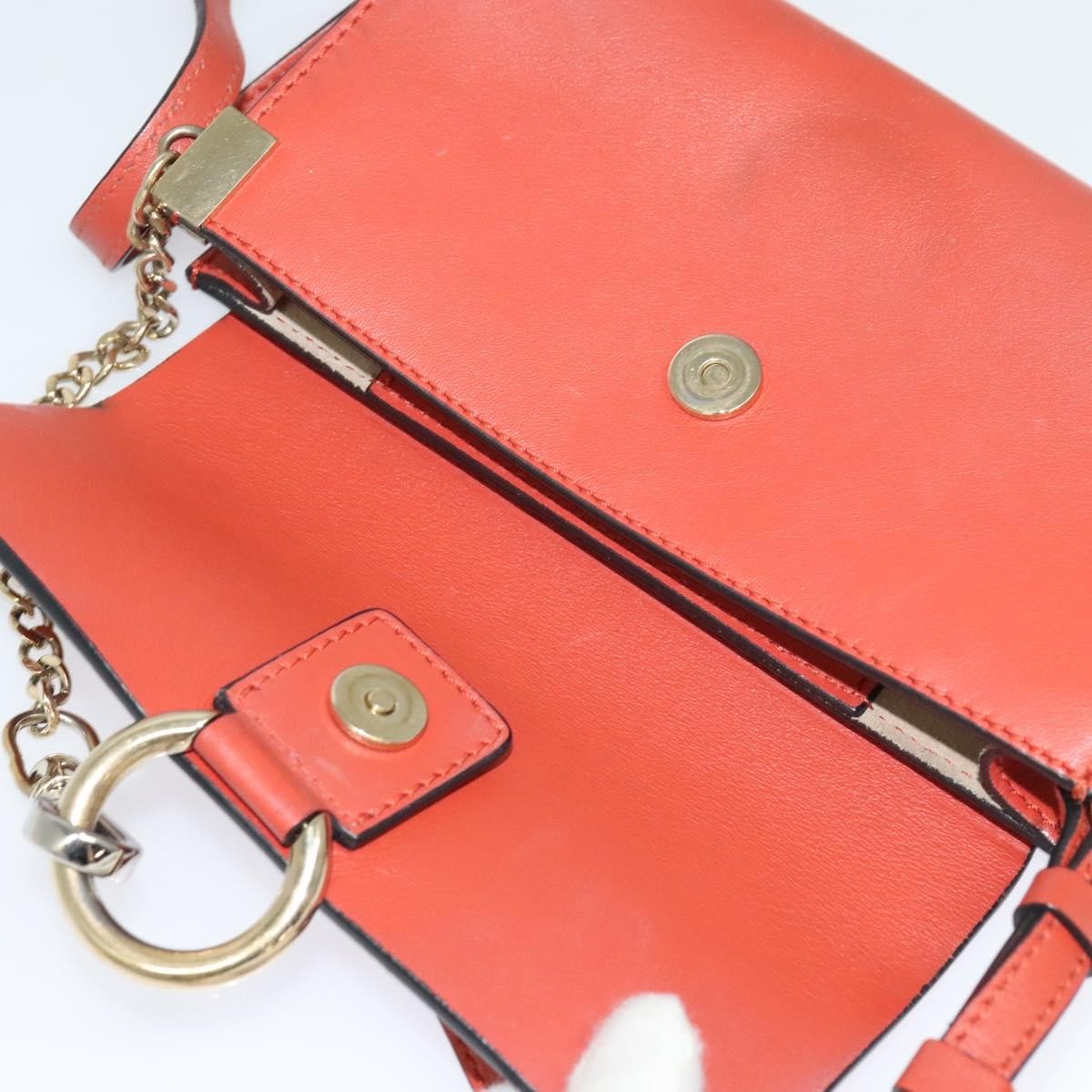 Chloe Faye Crossbody Leather and Suede