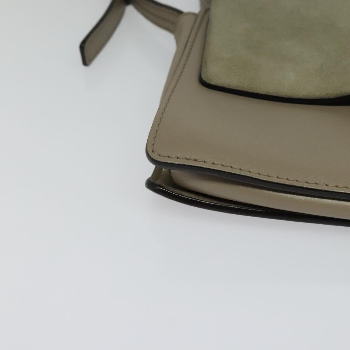 Chloe Faye Crossbody Leather and Suede