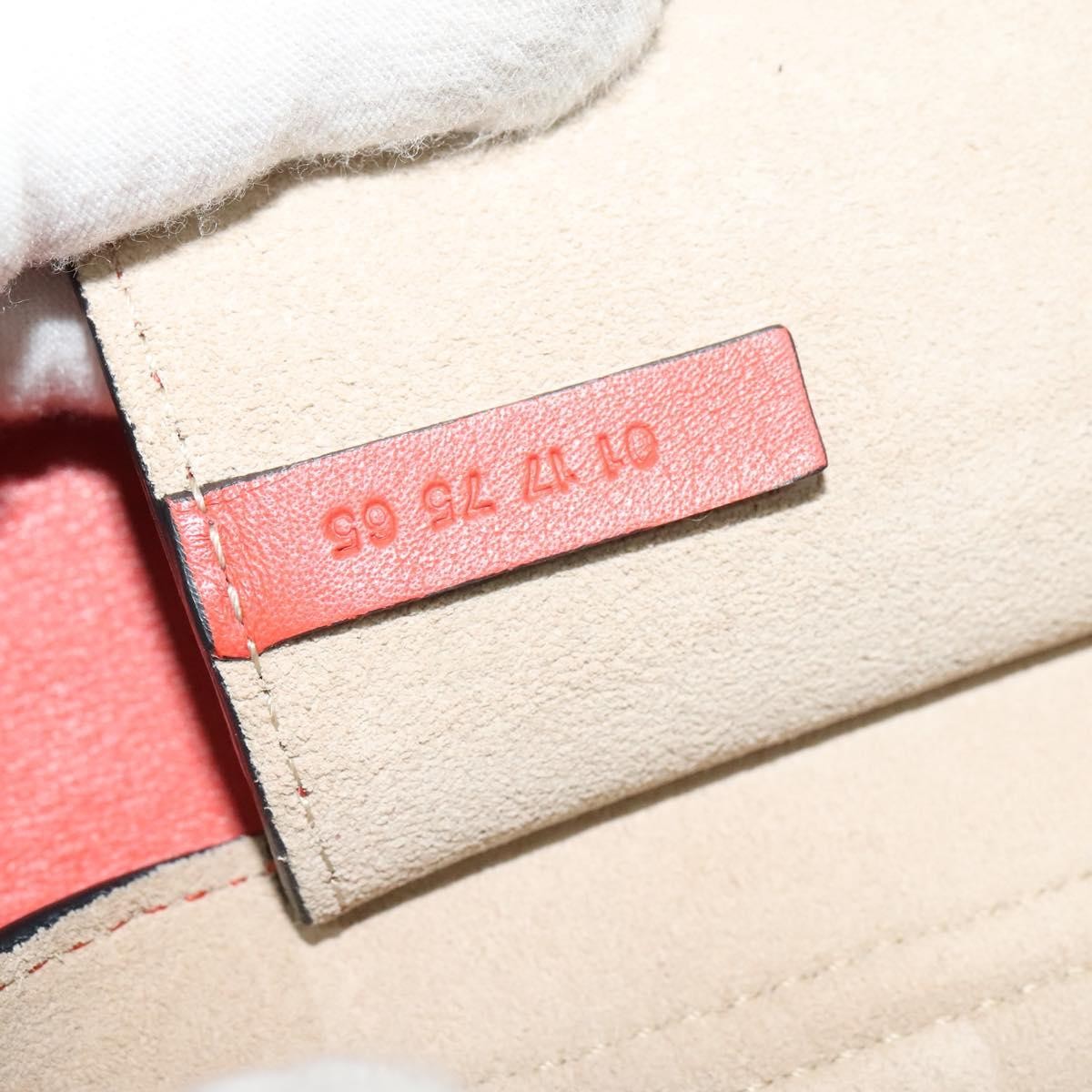 Chloe Faye Crossbody Leather and Suede