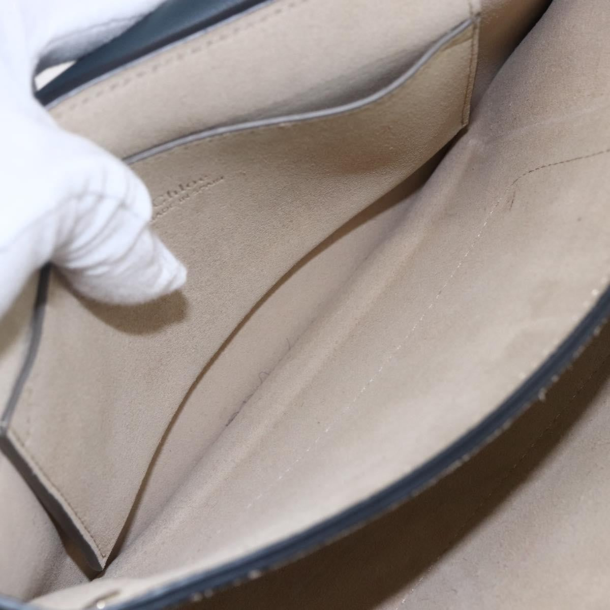 Chloe Faye Shoulder Bag Leather and Suede