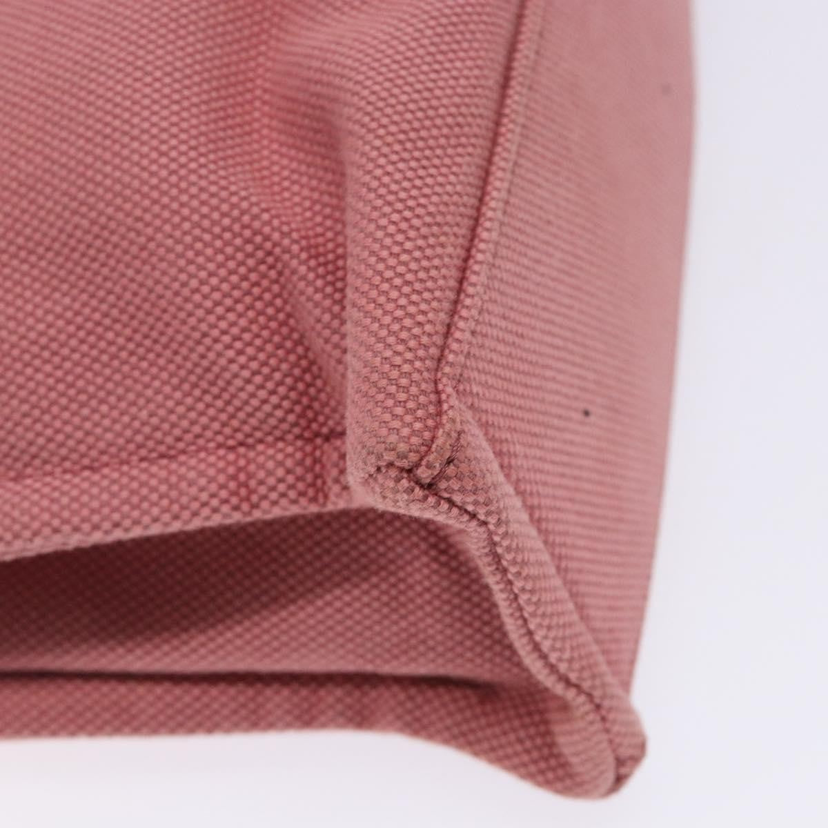 Burberry Blue Label Handbag Canvas