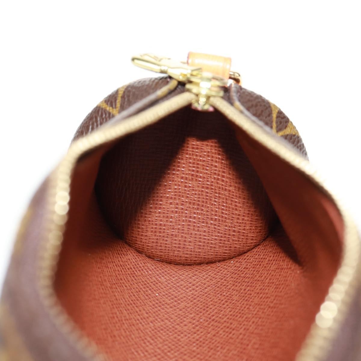 Louis Vuitton Papillon Pochette Monogram Canvas