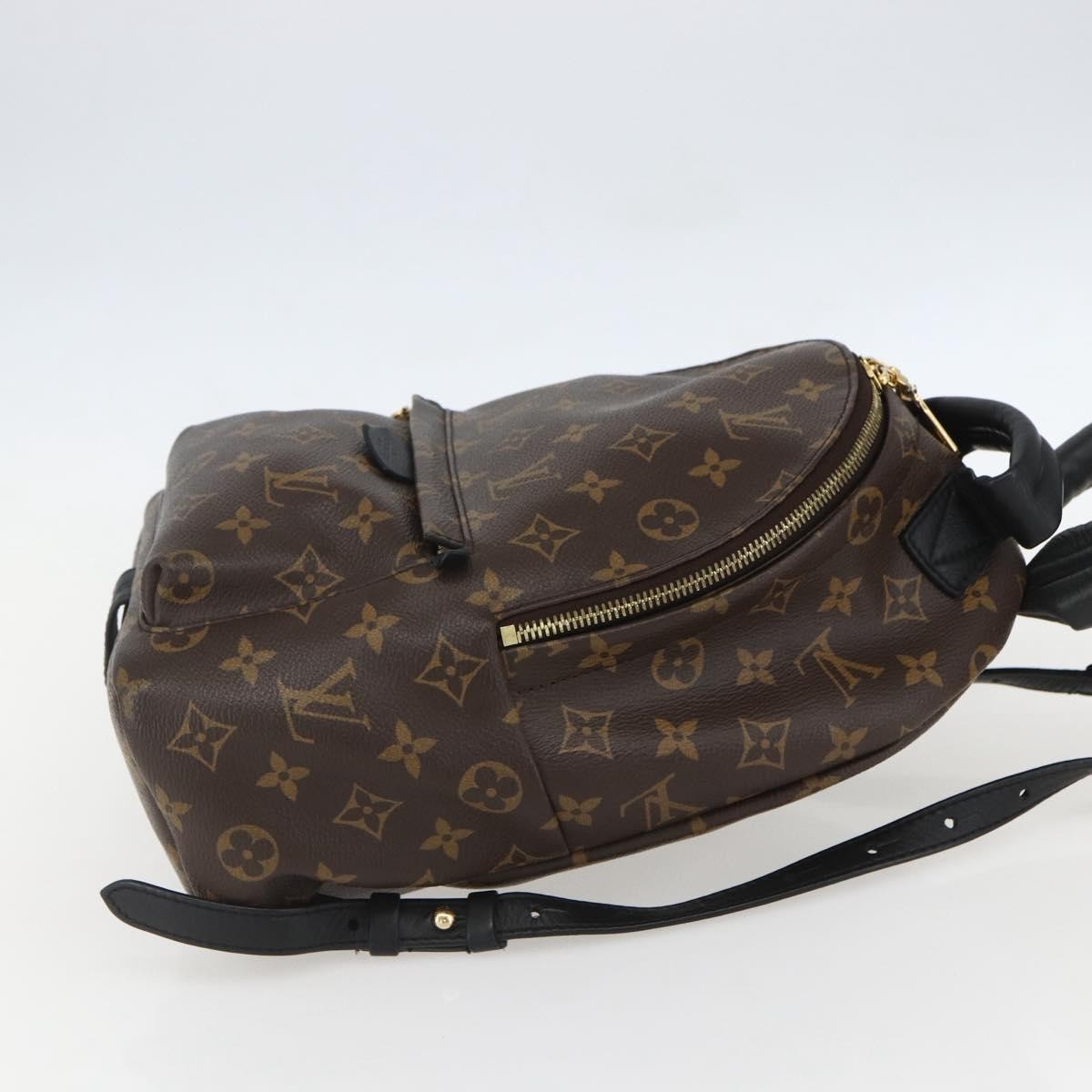Louis Vuitton Palm Springs Backpack Monogram Canvas