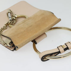 Chloe Faye Crossbody Leather and Suede