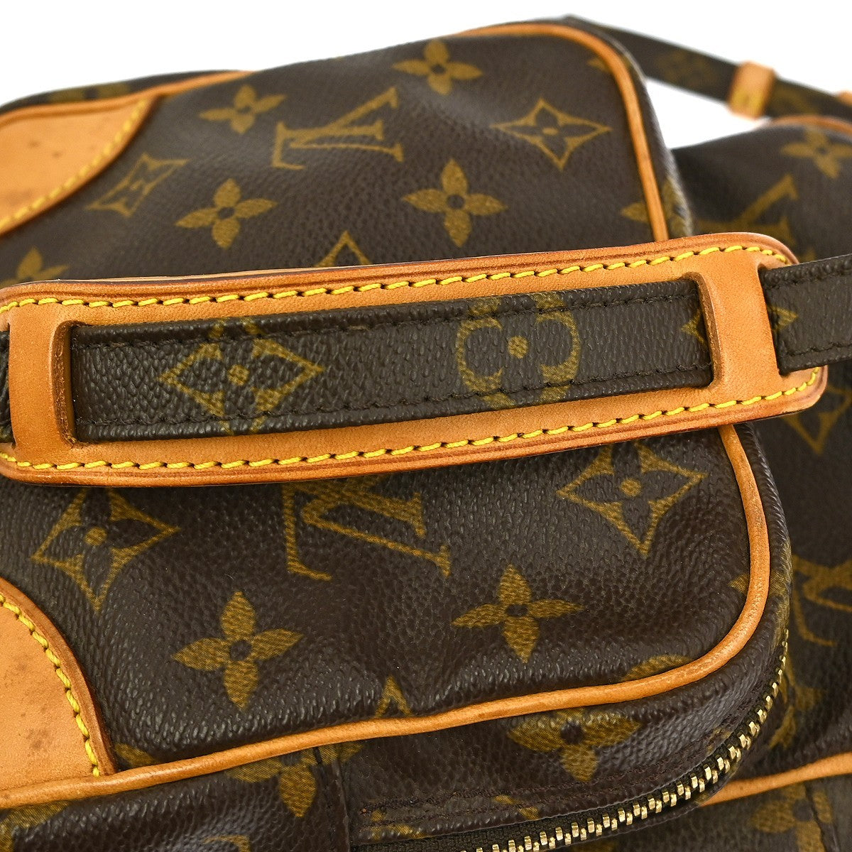 Louis Vuitton Amazone Bag Monogram Canvas