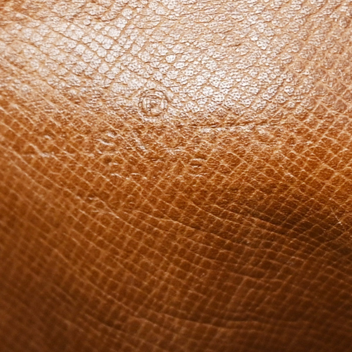 Louis Vuitton Danube Handbag Monogram Canvas