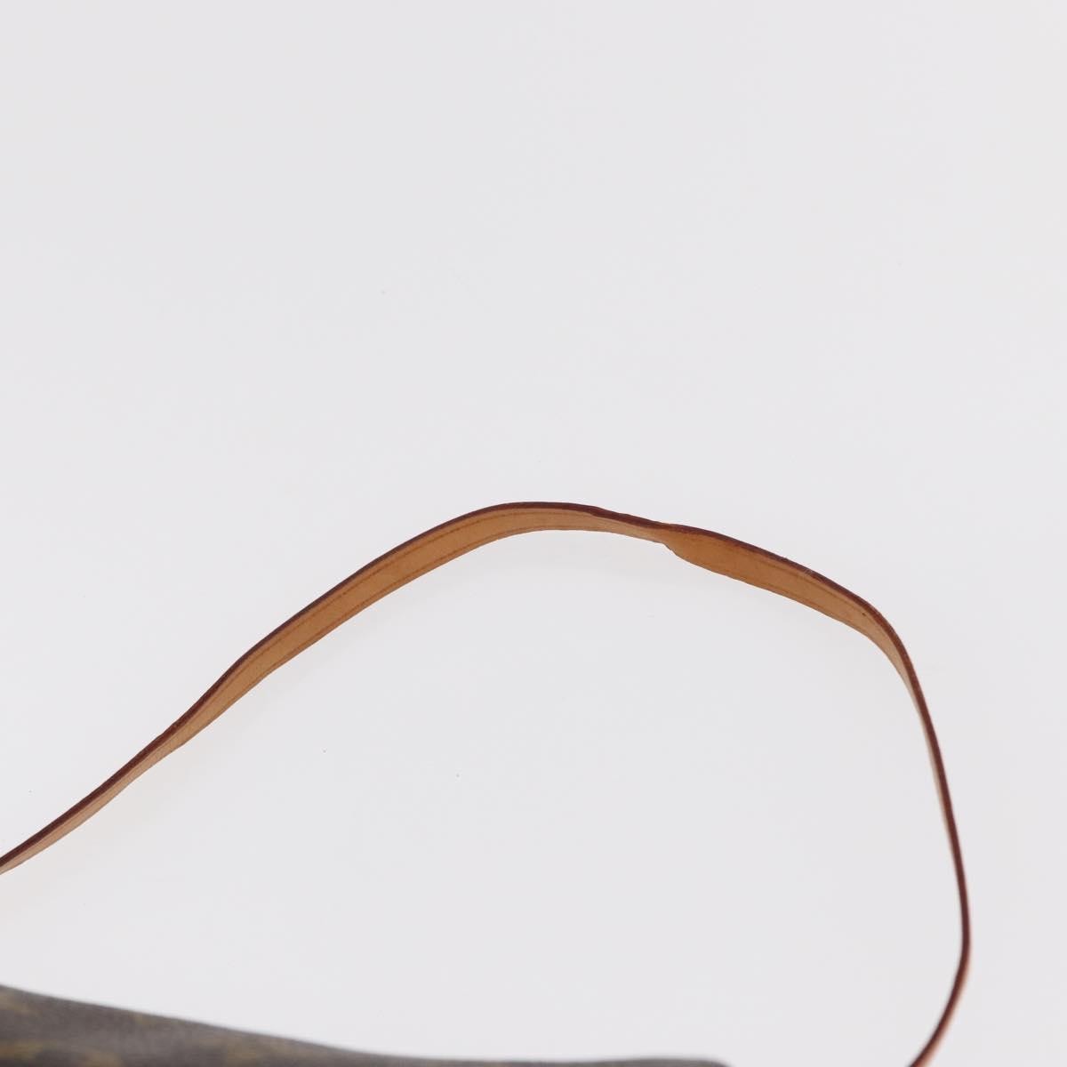 Louis Vuitton Papillon Pochette Monogram Canvas