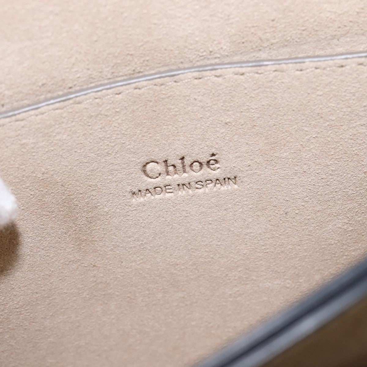 Chloe Faye Shoulder Bag Leather and Suede