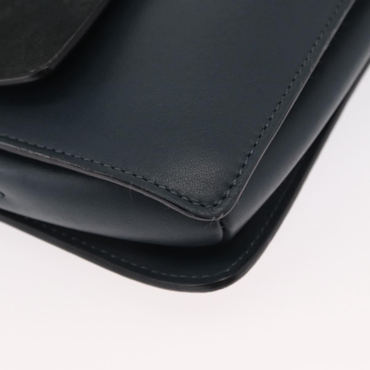 Chloe Faye Shoulder Bag Leather and Suede