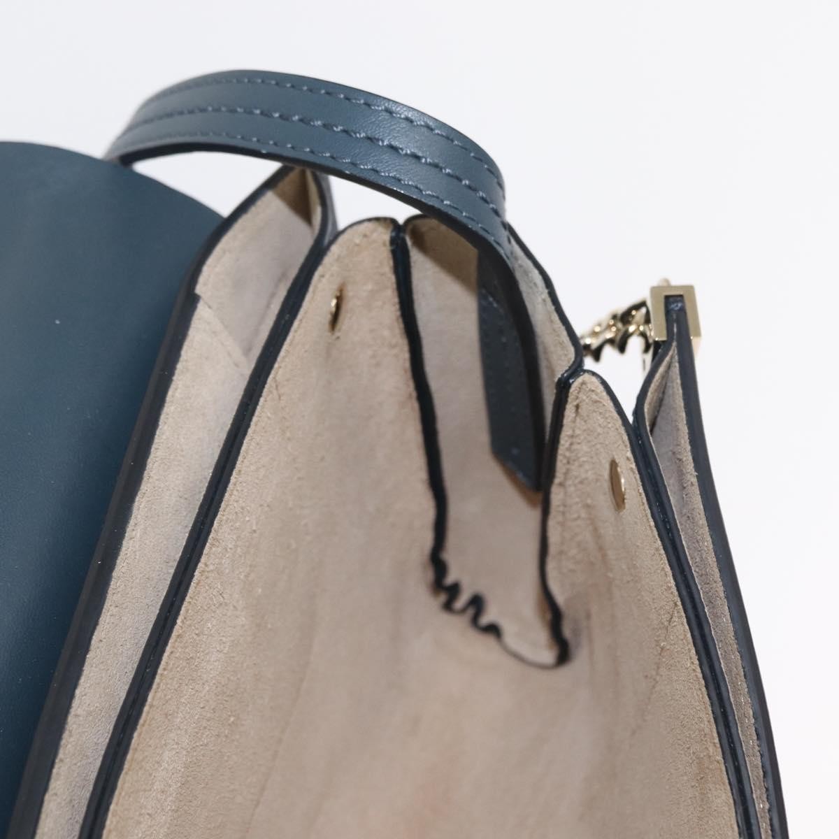 Chloe Faye Shoulder Bag Leather and Suede