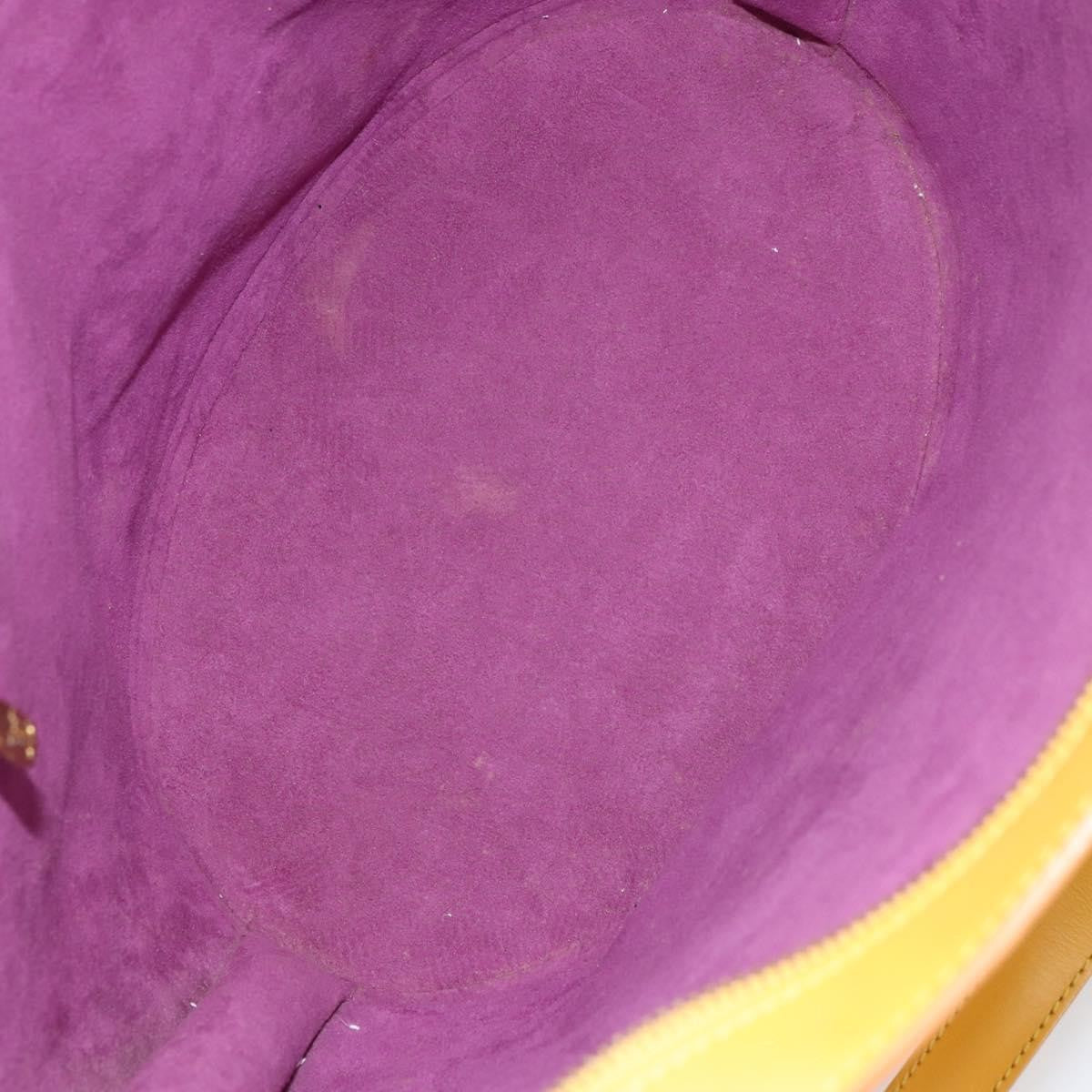 Louis Vuitton Saint Jacques Handbag Epi Leather