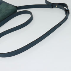 Chloe Faye Shoulder Bag Leather and Suede