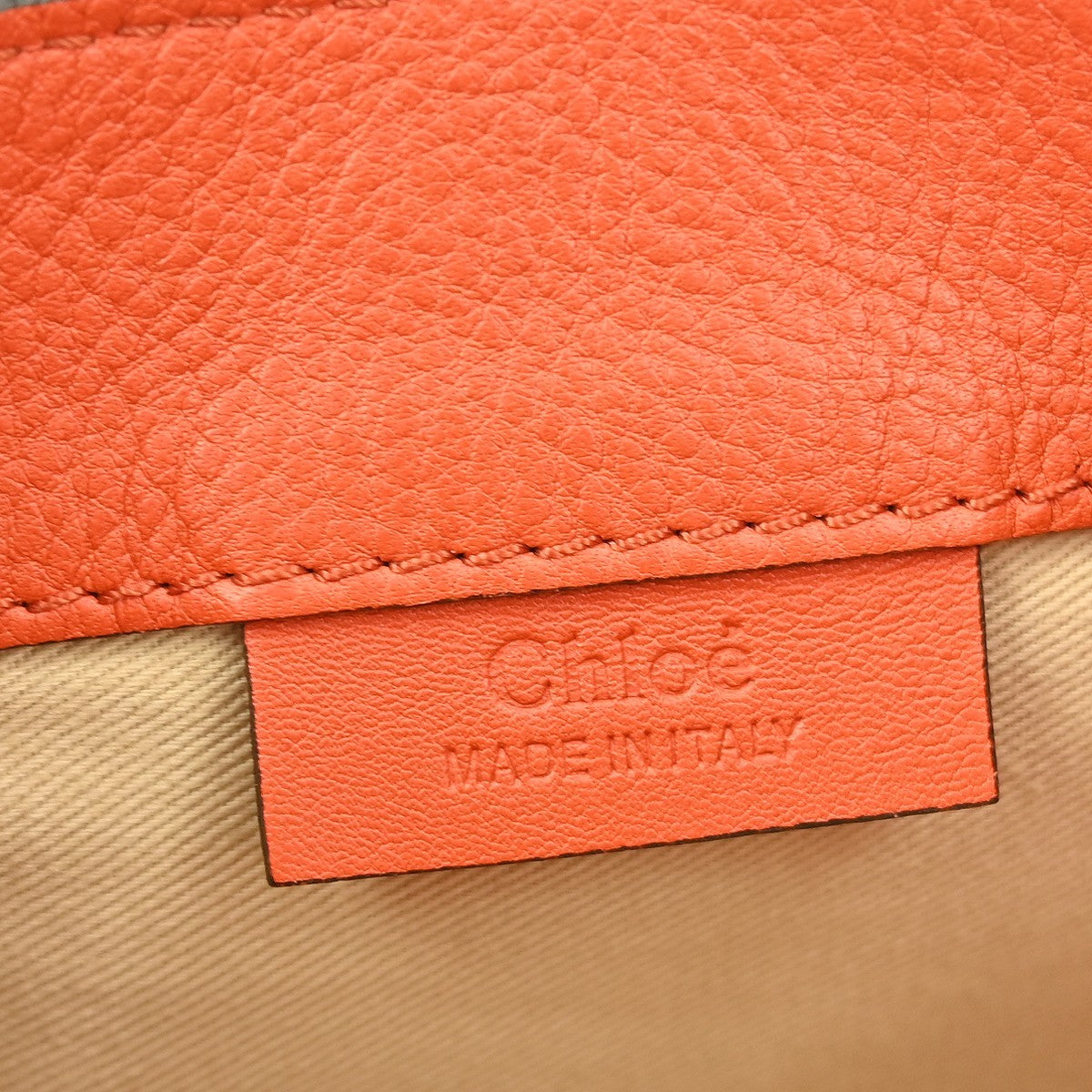 Chloe Faye Backpack Leather and Suede
