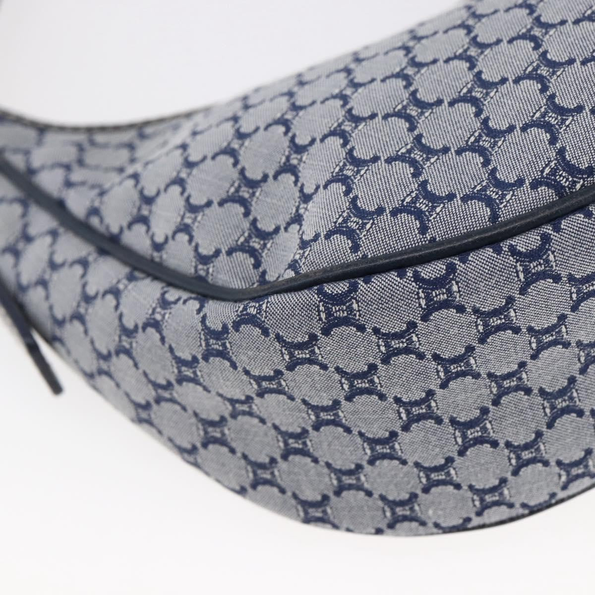 Celine Ava Bag Triomphe Canvas