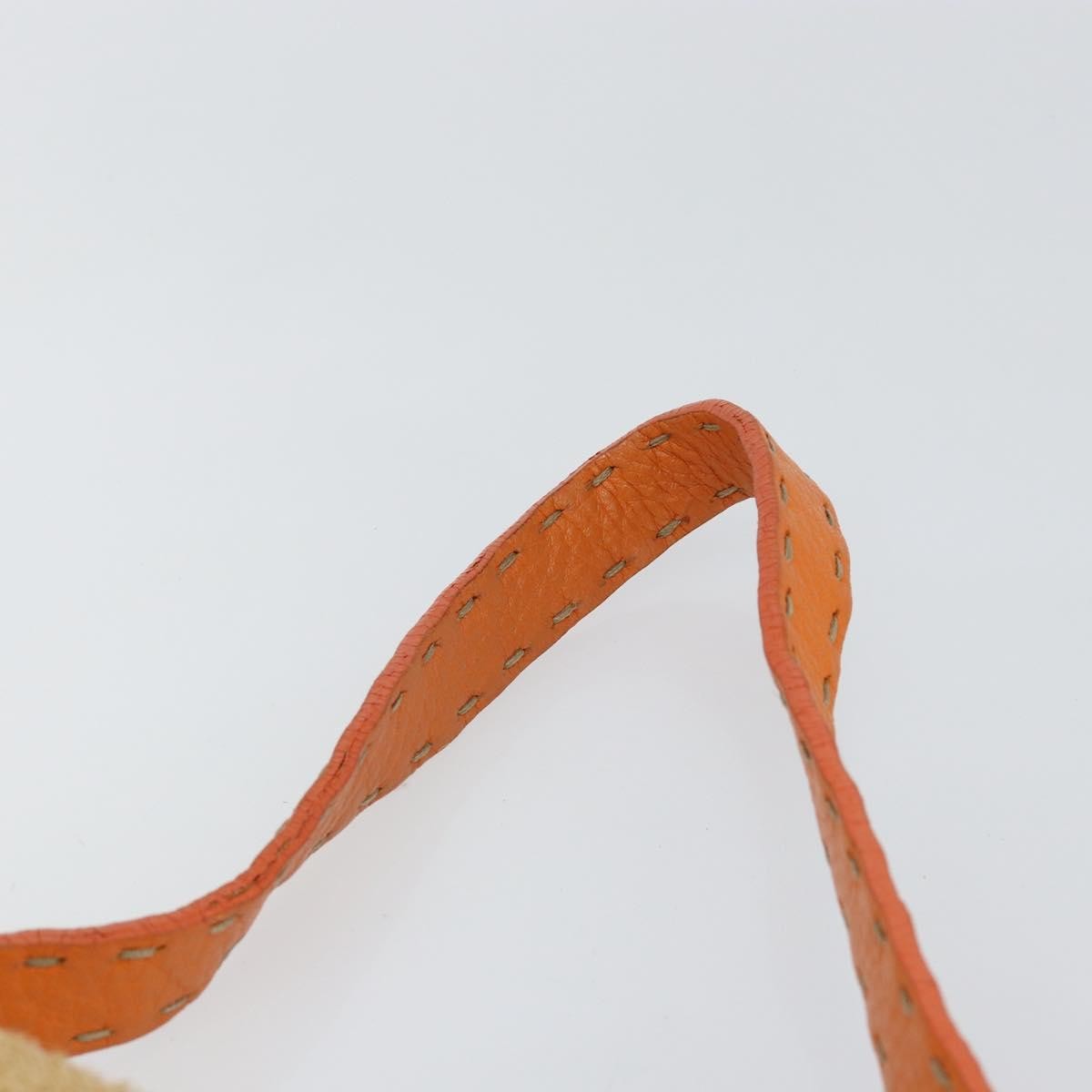 Fendi Mama Forever Bag Raphia