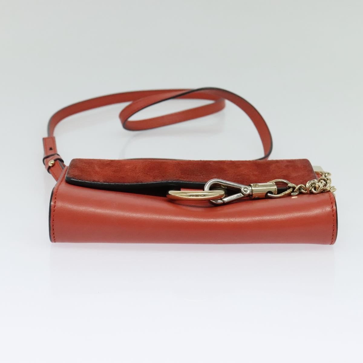 Chloe Faye Crossbody Leather and Suede