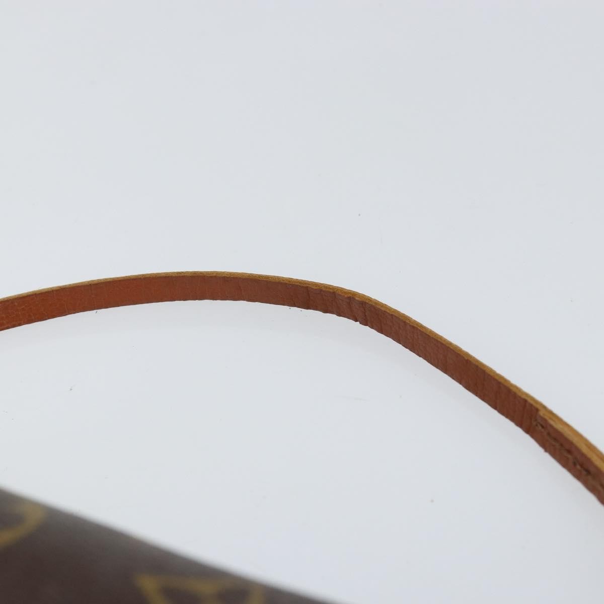 Louis Vuitton Papillon Pochette Monogram Canvas