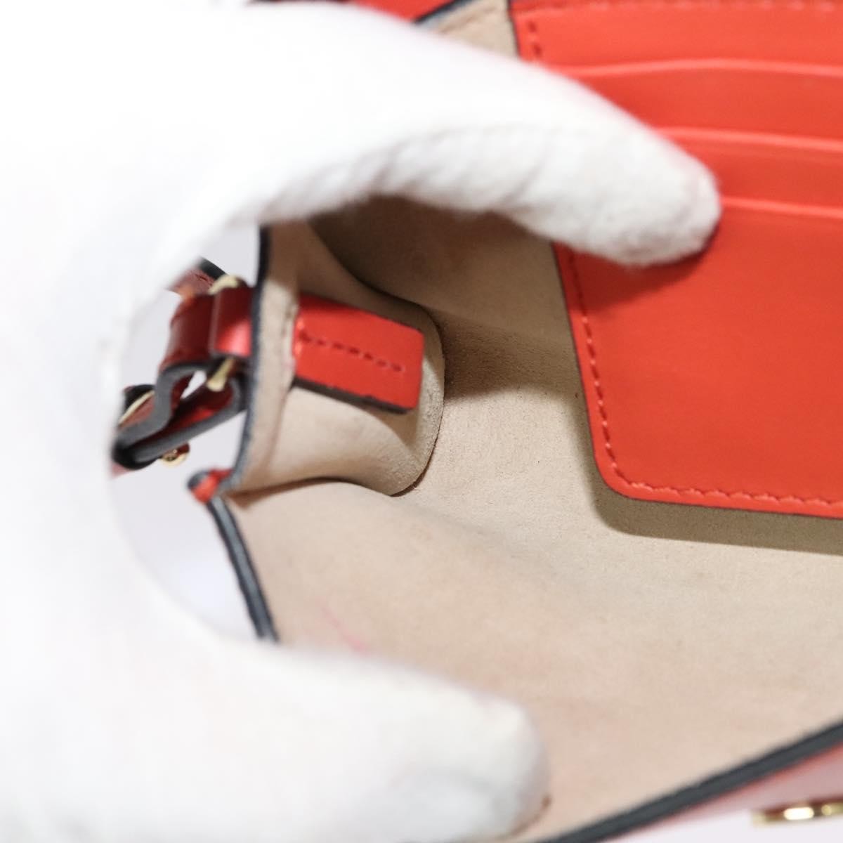 Chloe Faye Crossbody Leather and Suede