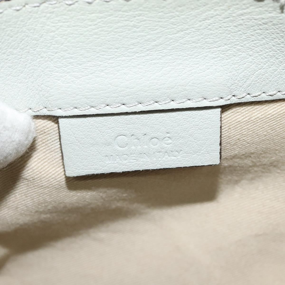 Chloe Faye Backpack Leather and Suede