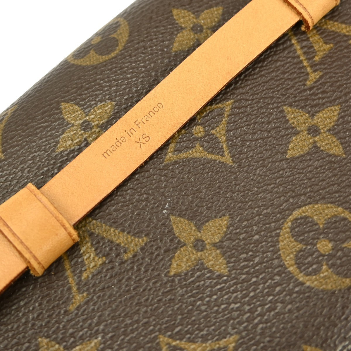 Louis Vuitton Florentine Waist Bag Monogram Canvas