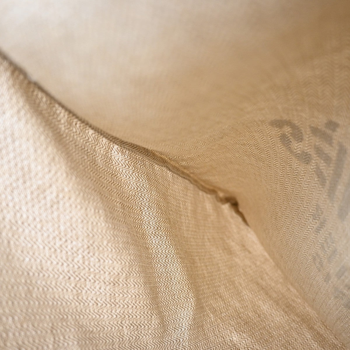 Hermes Aline Bag Toile