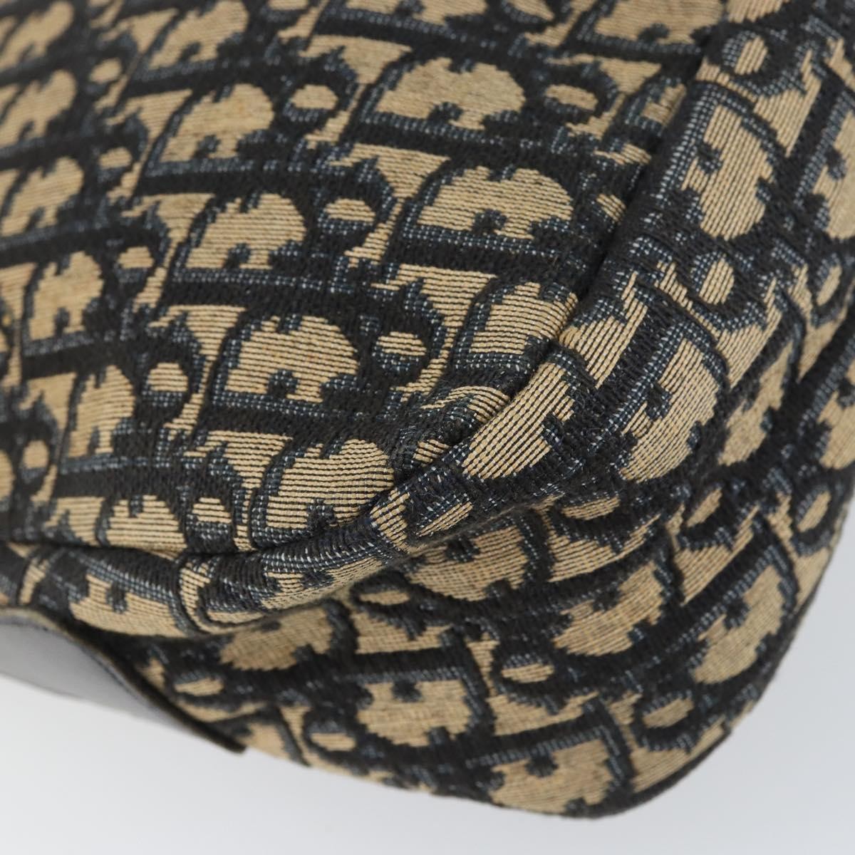 Christian Dior Vintage CD Trotter Handbag Canvas