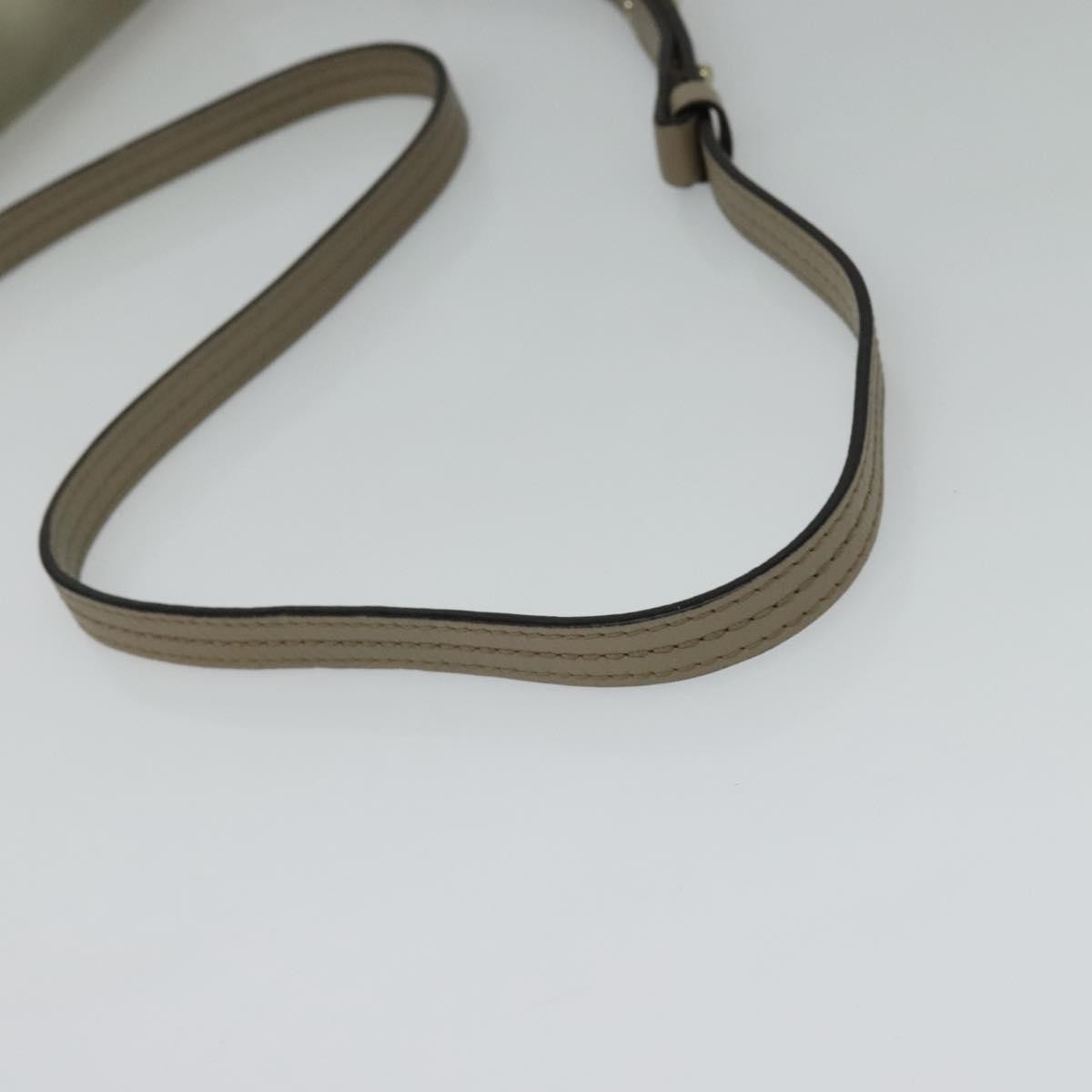 Chloe Faye Crossbody Leather and Suede