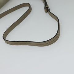 Chloe Faye Crossbody Leather and Suede