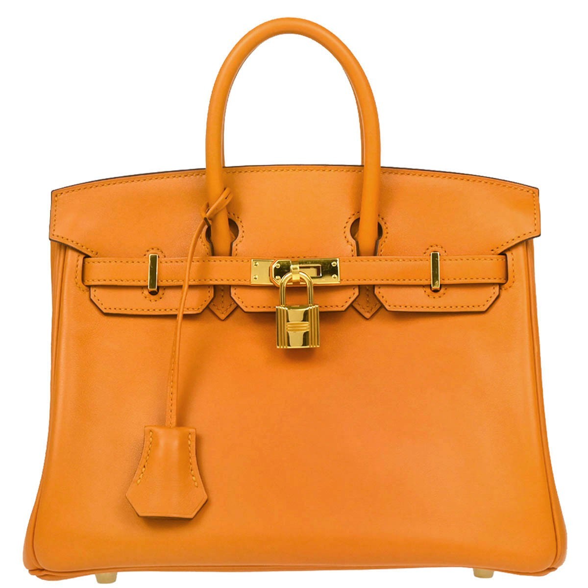 Hermes Birkin Handbag Orange Togo with Palladium Hardware