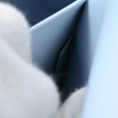 Christian Dior Be Dior Bag Smooth Leather