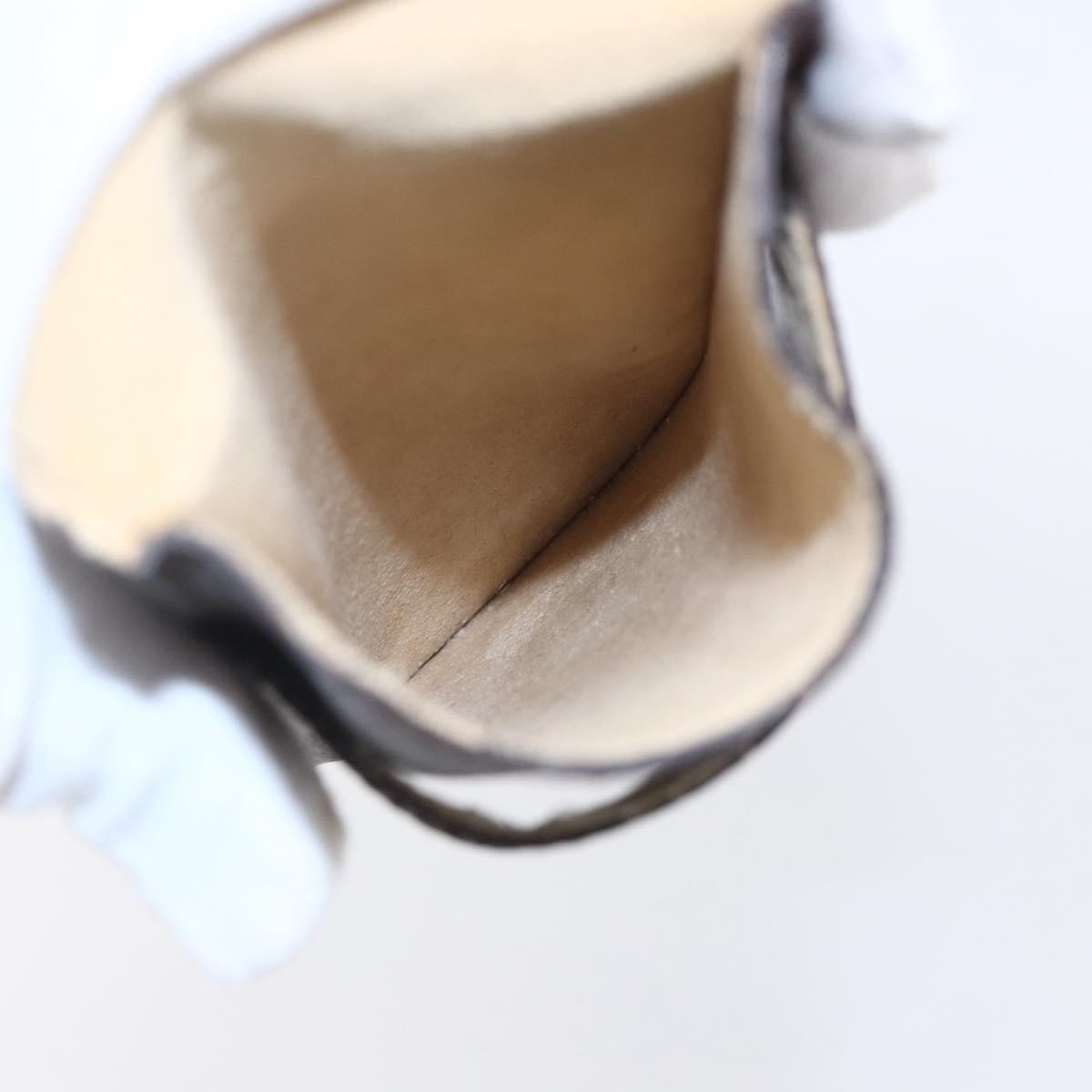 Louis Vuitton Etui à lunette Canvas