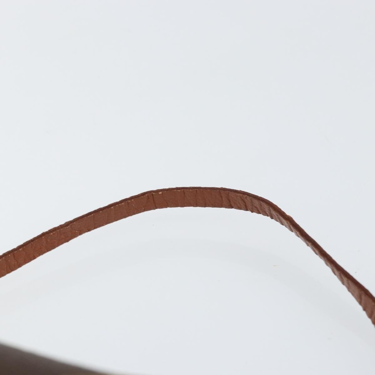 Louis Vuitton Papillon Pochette Monogram Canvas