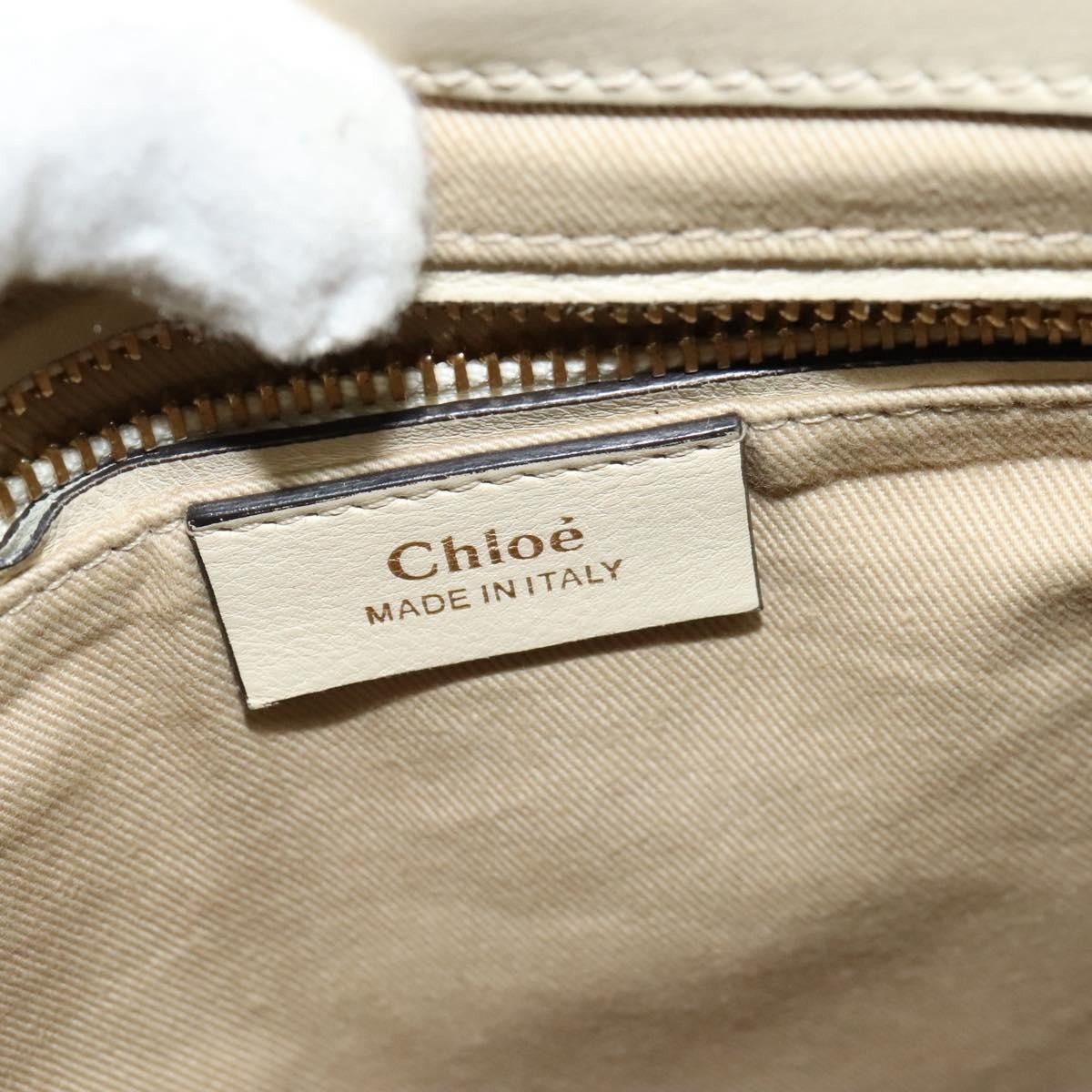 Chloe Faye Backpack Leather and Suede